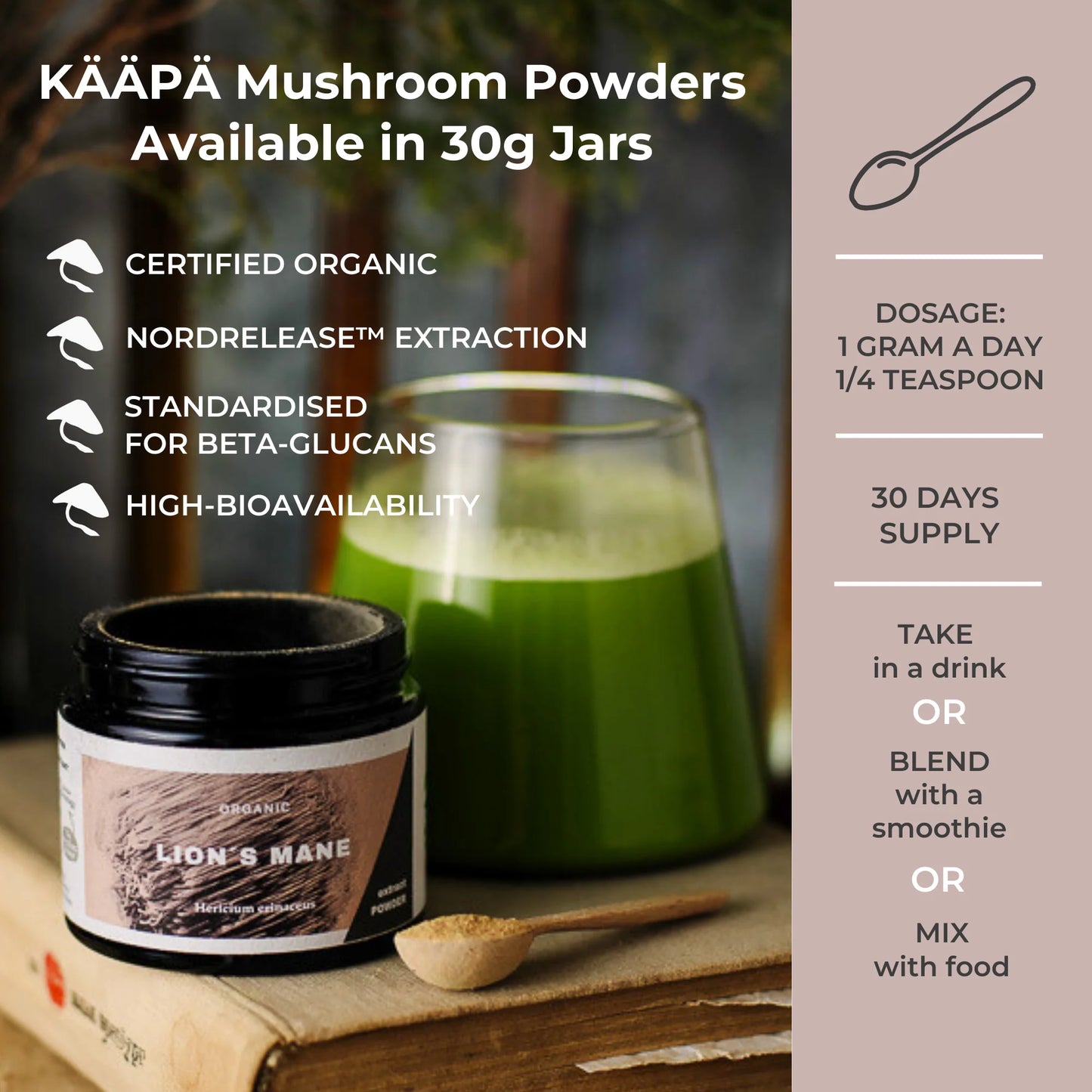 Lion's Mane Mushroom Powder