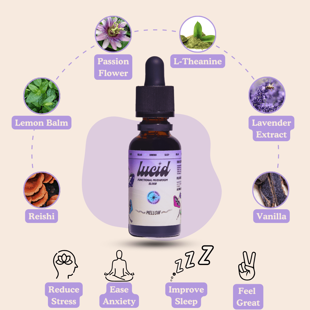 Mellow Mushroom Elixir Supplement – Natural Calm & Sleep Support | Lavender & Vanilla | 30ml