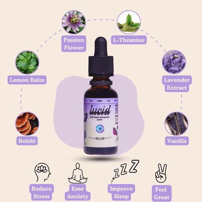 Mellow Mushroom Elixir Supplement – Natural Calm & Sleep Support | Lavender & Vanilla | 30ml