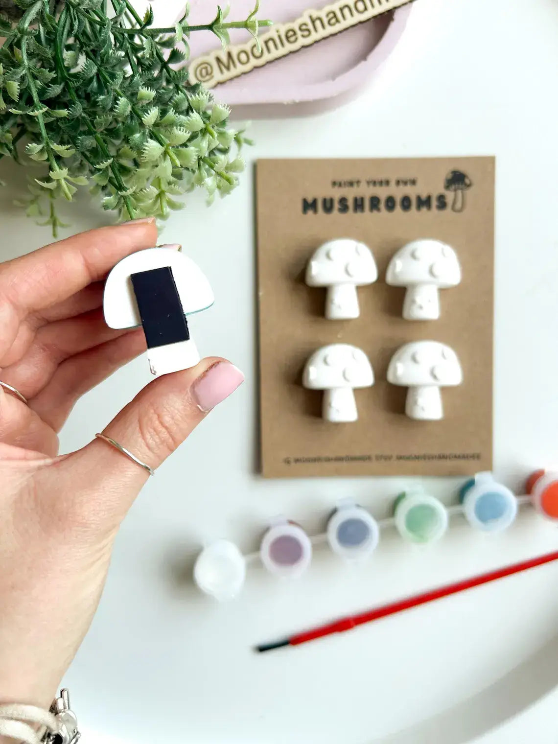 Mushroom Pottery Painting Kit, Paint Craft Kit For Adults