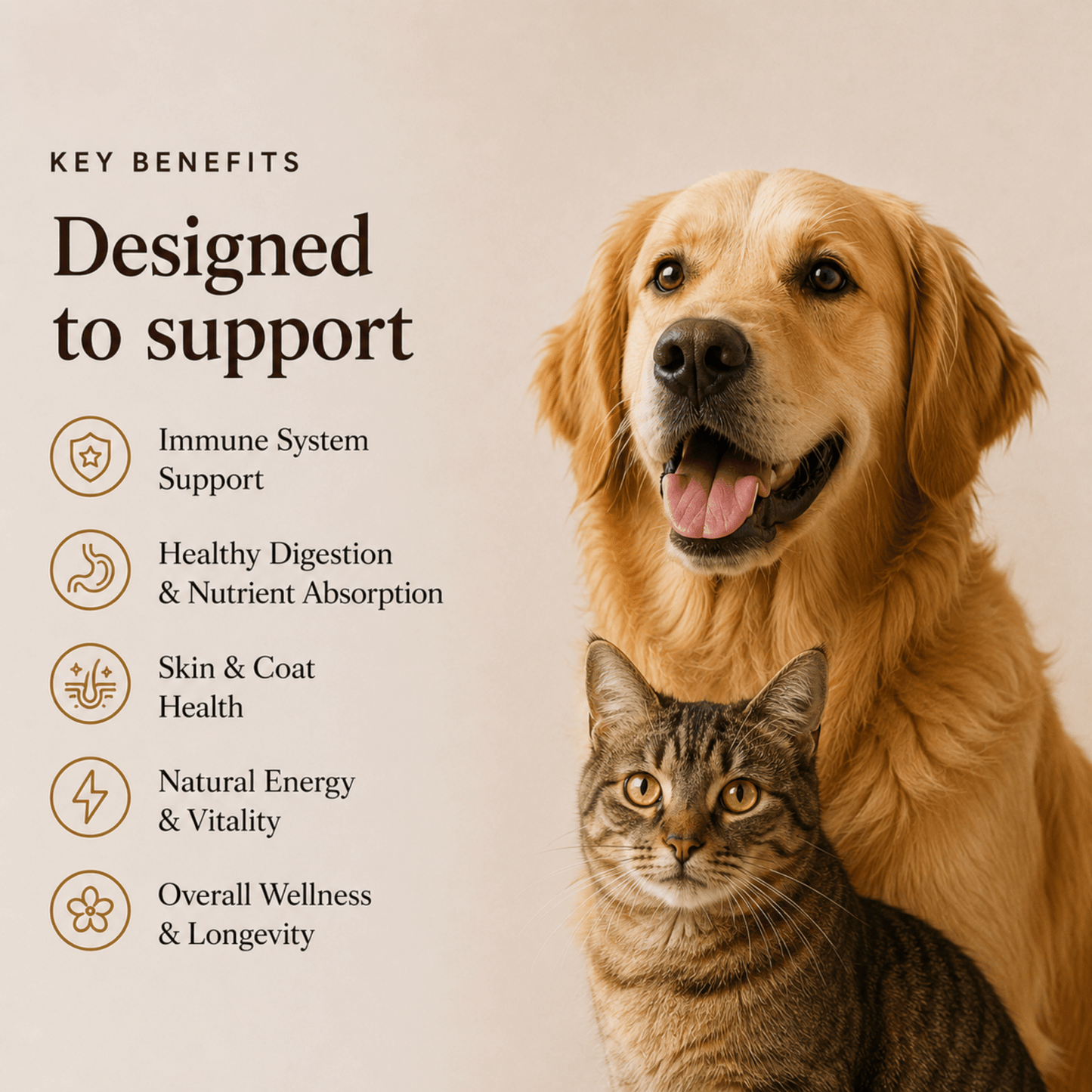 Ancient Extracts 4 Mushroom Blend for Dogs & Cats – 60g