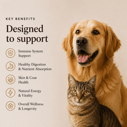 Ancient Extracts 4 Mushroom Blend for Dogs & Cats – 60g