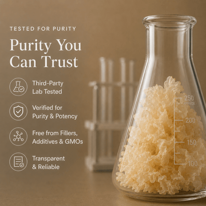 Ancient Extracts Tremella Beauty Mushroom Powder – 60g