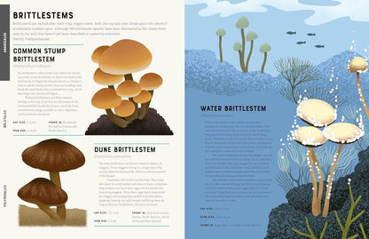 Encyclopedia of Fungi