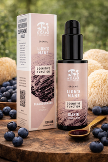 Organic Lion’s Mane Mushroom Cognitive Function Elixir 50ml – Alcohol Free Liquid Extract