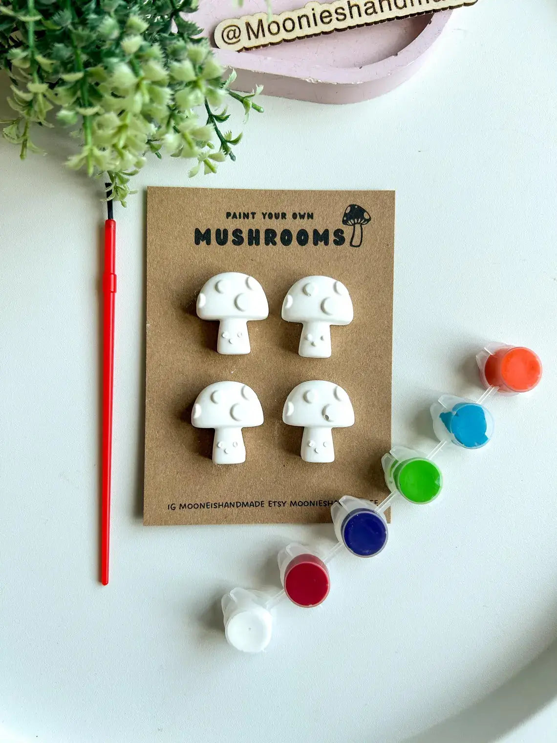 Mushroom Pottery Painting Kit, Paint Craft Kit For Adults