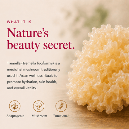 Ancient Extracts Tremella Beauty Mushroom Powder – 60g