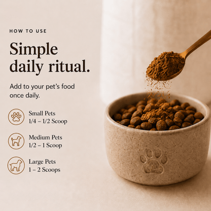Ancient Extracts 4 Mushroom Blend for Dogs & Cats – 60g