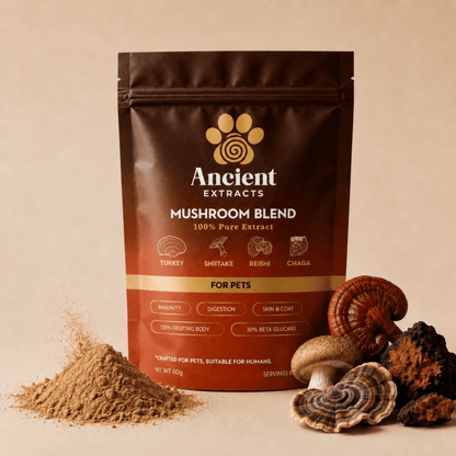 Ancient Extracts 4 Mushroom Blend for Dogs & Cats – 60g