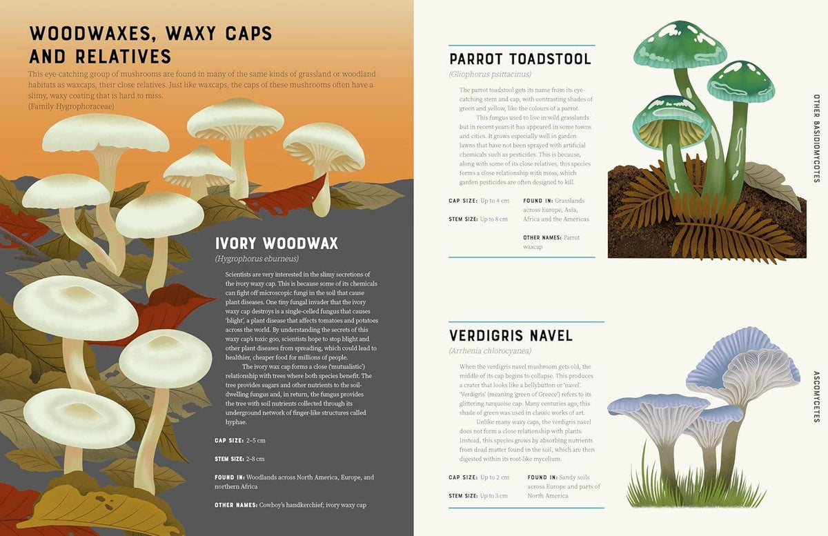 Encyclopedia of Fungi