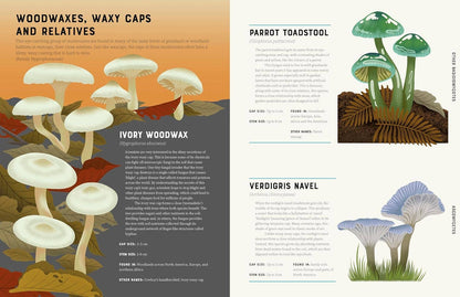 Encyclopedia of Fungi