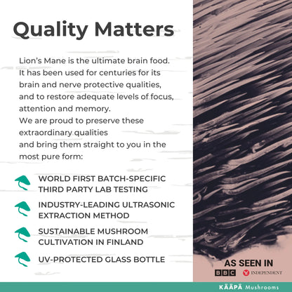 Lion's Mane Mushroom Powder
