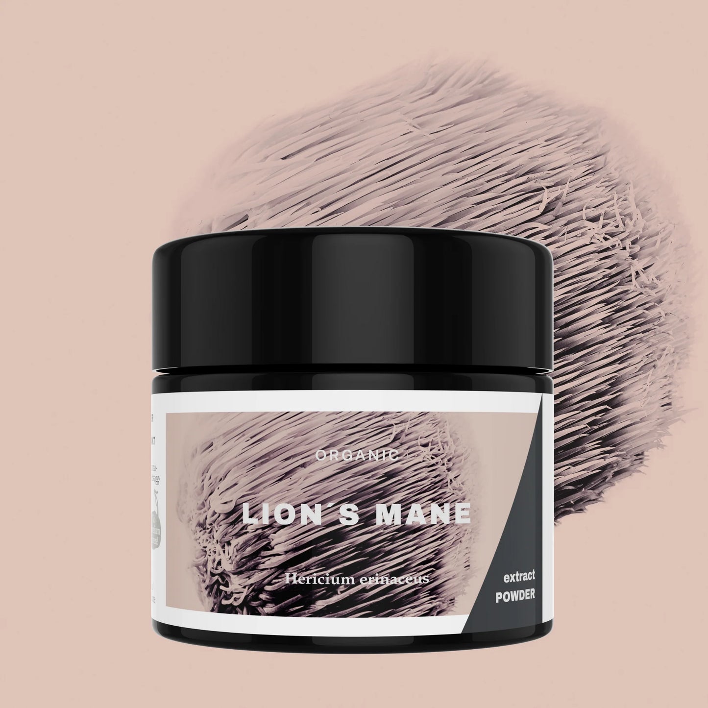 Lion's Mane Mushroom Powder
