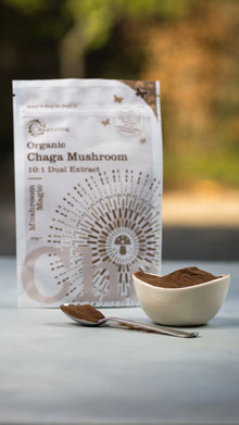 Organic Chaga Mushroom 10:1 Dual Extract – 50g Pouch