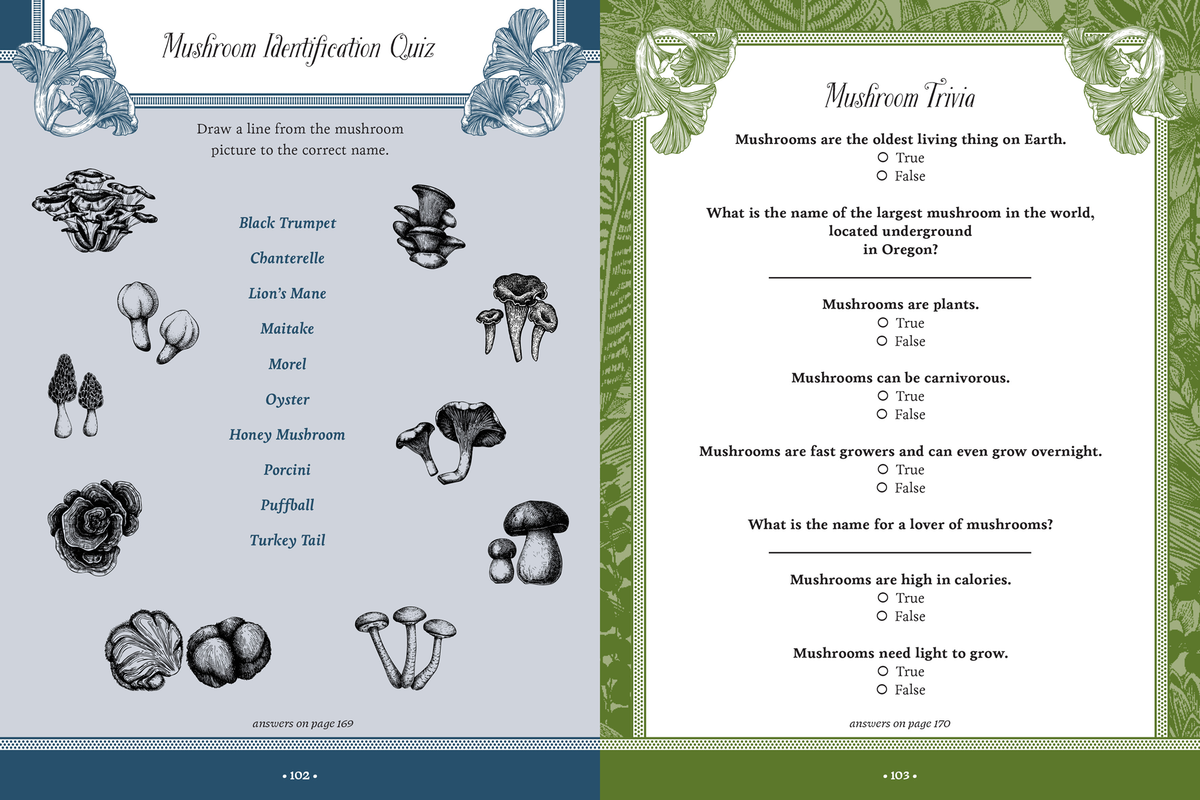 Forest Fairies, Mushrooms & Goblins Sticker Activity Book