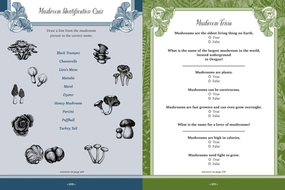 Forest Fairies, Mushrooms & Goblins Sticker Activity Book