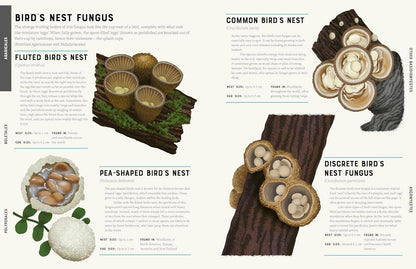 Encyclopedia of Fungi