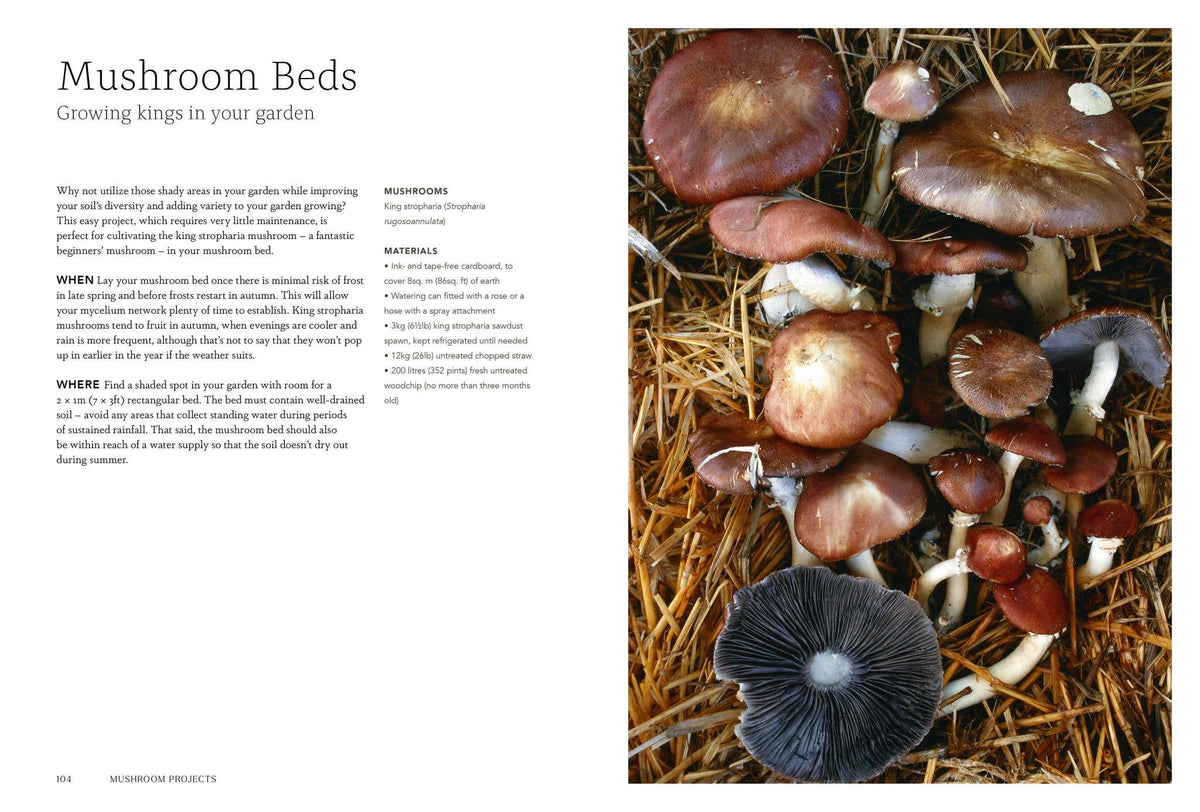 Project Mushroom