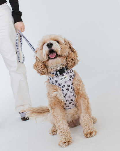Dog Harness - Mushroom: Mushroom / XXS