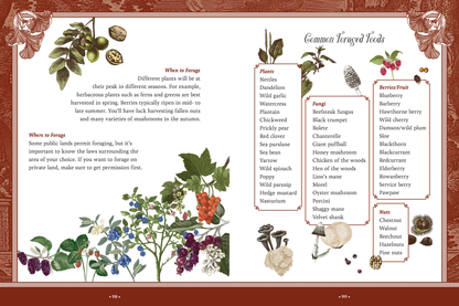 Forest Fairies, Mushrooms & Goblins Sticker Activity Book
