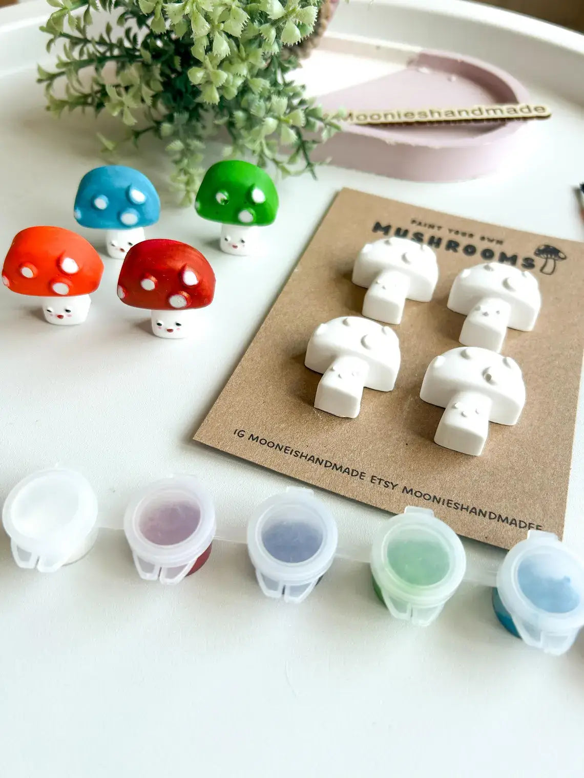 Mushroom Pottery Painting Kit, Paint Craft Kit For Adults
